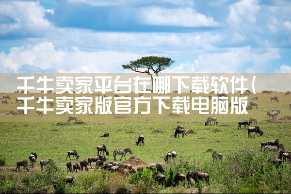 千牛卖家平台在哪下载软件