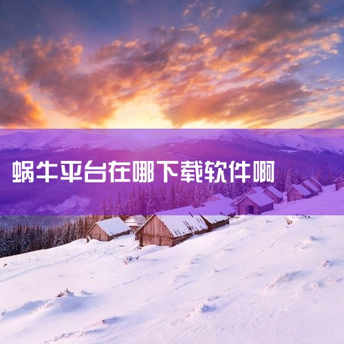 在下载前，查看平台上其他用户对该游戏的评价和下载量等信息，确保下载的安全性和可靠性。三、安装游戏1. 找到下载文件下载完成后，在电脑的下载文件夹中找到蜗牛游戏的安装文件。这个文件通常是以.exe为后缀,
