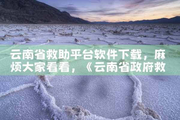 云南省救助平台软件下载