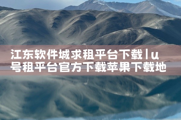 江东软件城求租平台下载