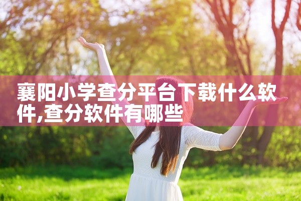 襄阳小学查分平台下载什么软件