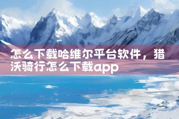 怎么下载哈维尔平台软件