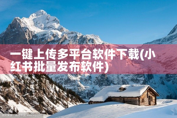 一键上传多平台软件下载