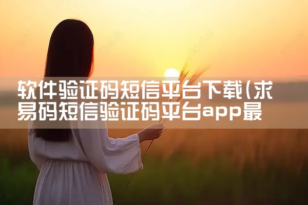 软件验证码短信平台下载
