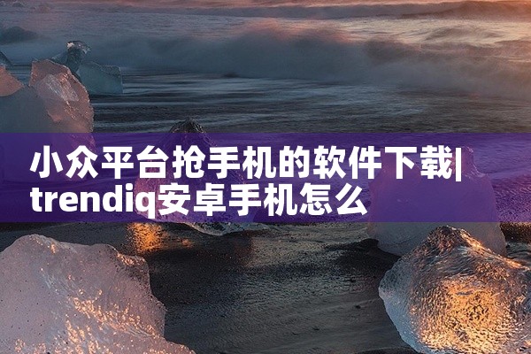 小众平台抢手机的软件下载