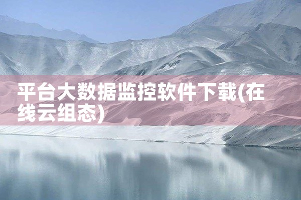 平台大数据监控软件下载