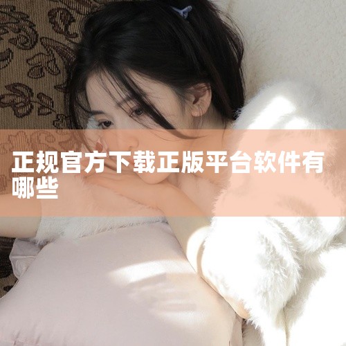 360软件管家：360软件管家是360安全卫士中的一个重要功能模块，提供了大量的正版软件下载服务。该平台对软件进行了详细的分类和介绍，方便用户快速找到所需软件。同时，360软件管家还具备软件管理、升级,