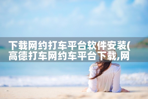 下载网约打车平台软件安装