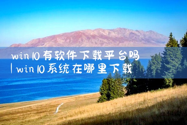 win10有软件下载平台吗