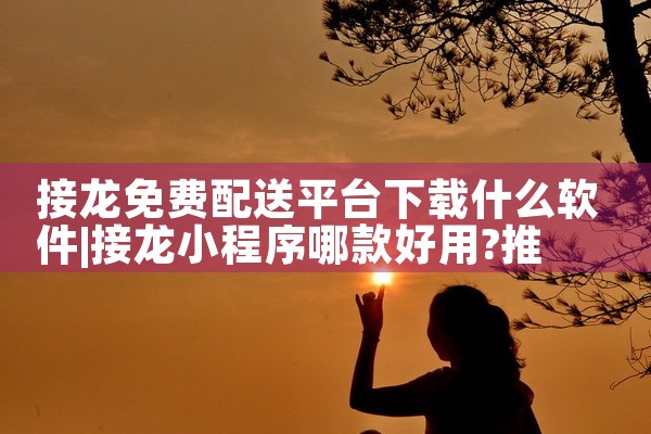 接龙免费配送平台下载什么软件