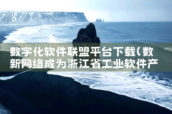 数字化软件联盟平台下载