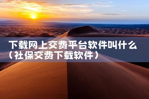 下载网上交费平台软件叫什么