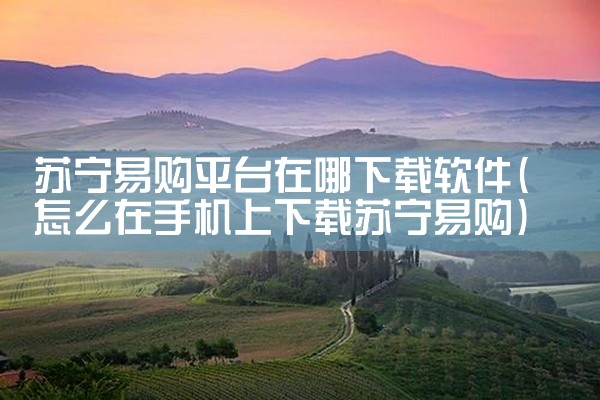 苏宁易购平台在哪下载软件